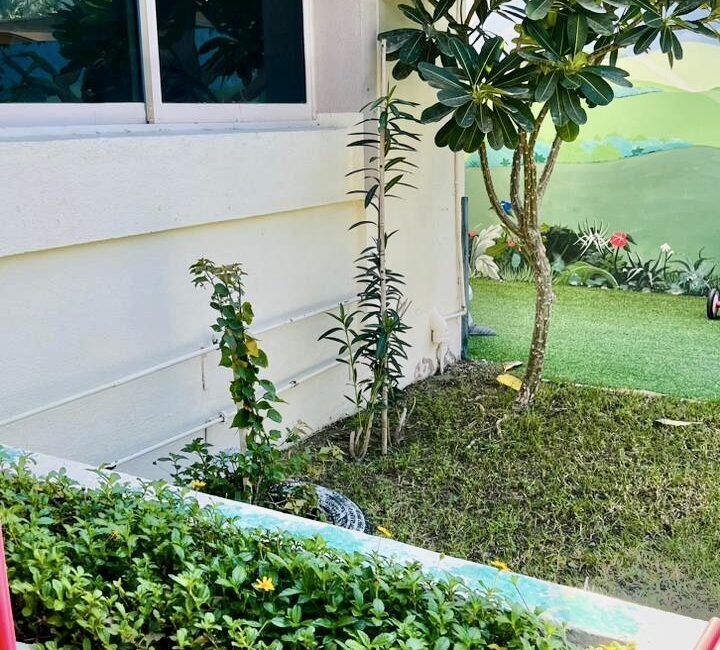 WhatsApp Image 2024-11-15 at 12.32.30 (1) 2