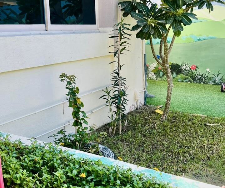 WhatsApp Image 2024-11-15 at 12.32.30 (1)