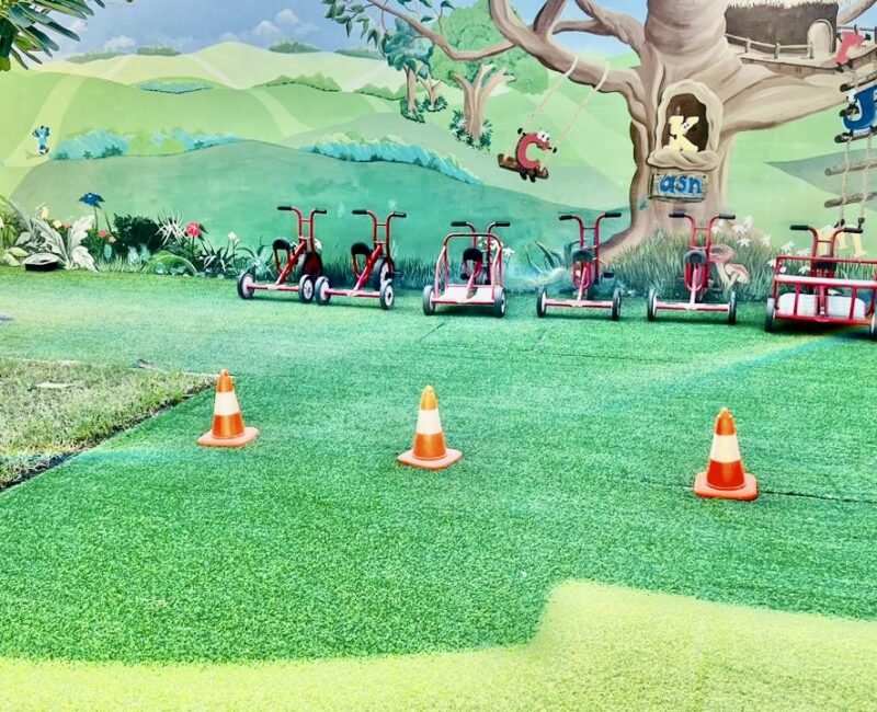 WhatsApp Image 2024-11-15 at 12.32.31