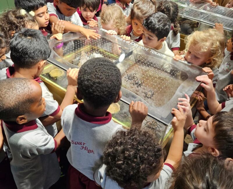 alphabetstreetnursery_1709897818_3319185929002049424_6870378565