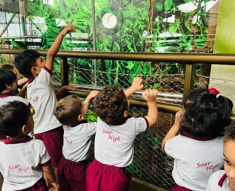 alphabetstreetnursery_1709897818_3319185929010573520_6870378565